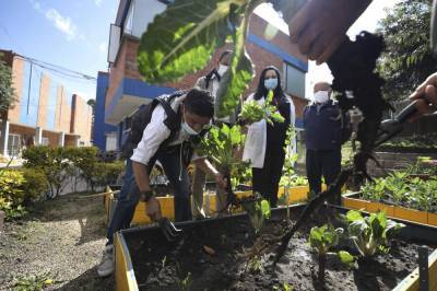 Gardening helps kidney patients in Colombian hospital - clickorlando.com - Colombia - city Bogota