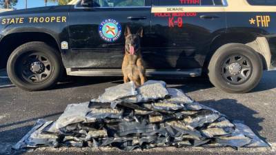 50 pounds of pot found stuffed in suitcases during Sumter County traffic stop, troopers say - clickorlando.com - state Florida - county Sumter