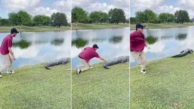 Florida golfer snatches ball stuck on alligator's tail - fox29.com - state Florida