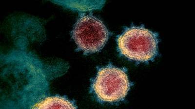 The coronavirus may sometimes slip its genetic material into human chromosomes—but what does that mean? - sciencemag.org