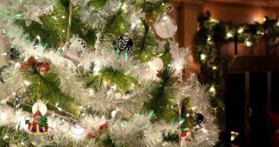 Scott Thompson - Martha Stewart - Scott Thompson: Why is my dog eating light bulbs off the Christmas tree — and why now? - globalnews.ca