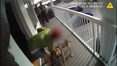 Woman arrested after throwing dog from balcony of Florida motel - globalnews.ca - state Florida - city Daytona Beach, state Florida