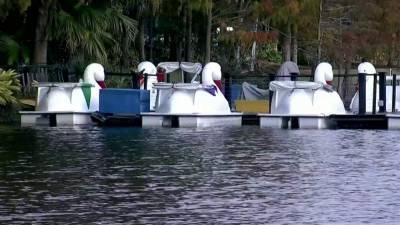 Lake Eola - Bacteria levels back to normal, swan boat rentals can resume at Lake Eola - clickorlando.com - state Florida - city Orlando