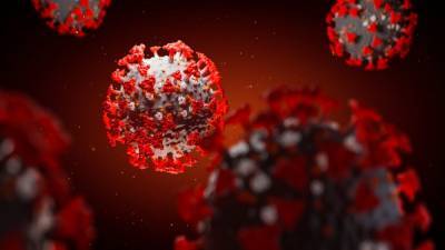 Coronavirus cases in South Carolina see record single-day high - foxnews.com - state South Carolina