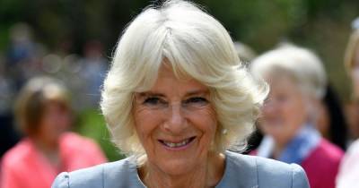 Camilla will appear on Strictly Come Dancing after voting for favourite each week - mirror.co.uk