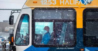 Public Health - Halifax Transit - Halifax Transit union calls for better mask enforcement as more drivers refuse work - globalnews.ca - municipality Regional, county Halifax - county Halifax