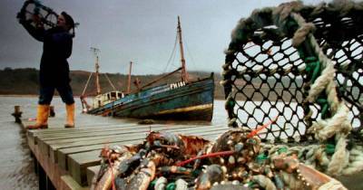 Scottish fresh food shortage fears as exporters set to lose £5m of goods at ports - dailyrecord.co.uk - Britain - France - Scotland
