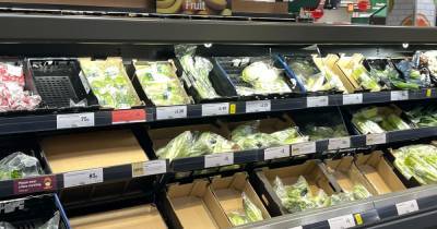 Panic buyers stockpile lettuce as France shuts border with UK over Covid strain - dailystar.co.uk - Britain - France
