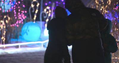 Edmontonians flock to see Christmas lights during a very dark year - globalnews.ca