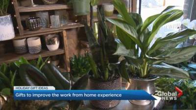 Gifts to improve the work from home experience - globalnews.ca