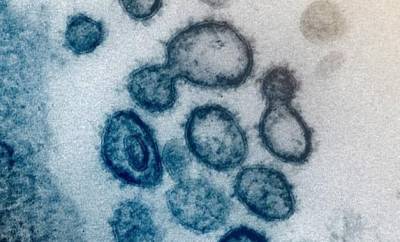 Coronavirus Outbreak - Coronavirus: MLHU, SWPH and LPH set records for new cases - globalnews.ca