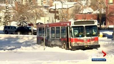 Jackie Wilson - Approximately 150 Calgary Transit buses stuck after winter storm - globalnews.ca