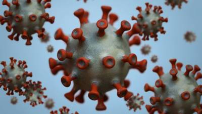 John Nkengasong - New coronavirus variant appears to emerge in Nigeria, Africa's CDC says - fox29.com - Britain - South Africa - Kenya - Nigeria - city Nairobi, Kenya