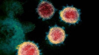 Africa Centres - John Nkengasong - After Britain and South Africa, another new coronavirus variant found in Nigeria - livemint.com - Britain - South Africa - Nigeria - city Addis Ababa - city Nairobi