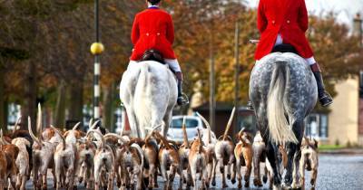 Christmas fox hunts to meet on Boxing Day despite coronavirus curbs - mirror.co.uk