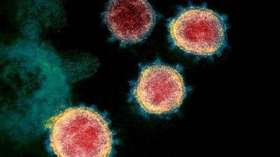 Hans Kluge - New strain of coronavirus detected in 8 European countries - livemint.com - Switzerland - region Europe
