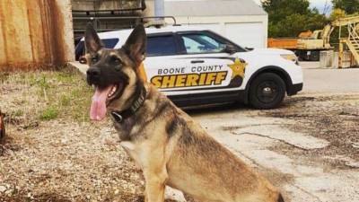 Illinois K-9 officer killed in the line of duty by intoxicated driver - fox29.com - state Illinois - county Boone