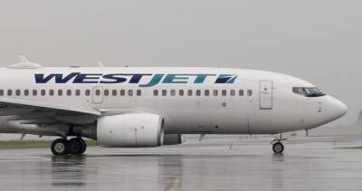 Public Health - Potential exposure to COVID-19 reported on WestJet flight from Toronto to Halifax - globalnews.ca - county Halifax