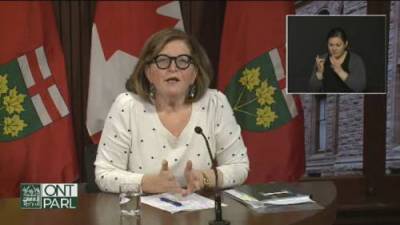 Barbara Yaffe - Coronavirus: Ontario health official stresses importance of travel quarantine in wake of new variant - globalnews.ca
