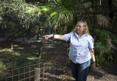 1 injured in animal attack at Big Cat Rescue owned by Carole Baskin - clickorlando.com