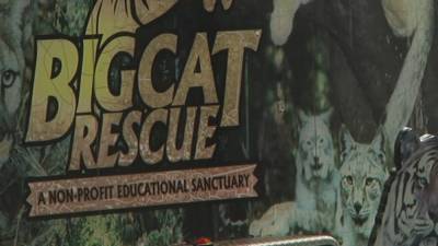 Staffer bitten at Big Cat Rescue has serious injuries, fire rescue says - fox29.com