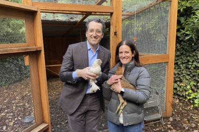 COVID cluckers: Pandemic feeds demand for backyard chickens - clickorlando.com