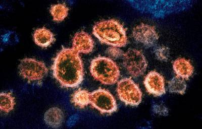 Gavin Newsom - UK coronavirus variant found in Southern California - foxnews.com - Britain - state California - state Colorado