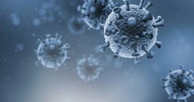 Anthony Fauci - Gavin Newsom - U.S. confirms 2nd case of coronavirus variant - globalnews.ca - Usa - state California - state Colorado