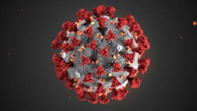 What's driving coronavirus vaccine hesitancy in US? - foxnews.com - Usa - state Florida