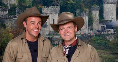 I'm A Celebrity's 'production team left in chaos after Covid scare' - msn.com