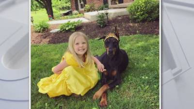 Chester County family launches extensive search for missing 7-year-old Doberman - fox29.com - state Pennsylvania - county Chester