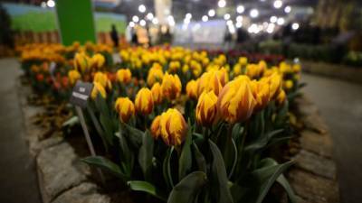 Philadelphia flower show to move outside for first time due to coronavirus concerns - fox29.com - state Pennsylvania - Philadelphia, state Pennsylvania