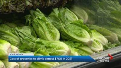 Miranda Anthistle - Coronavirus: Record increase in food prices predicted for 2021 - globalnews.ca
