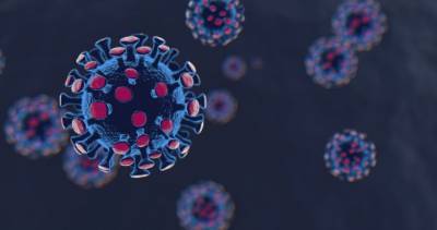 Interior Health - Coronavirus: 74 new cases announced for Interior Health region - globalnews.ca - region Health - county Oliver - city Mckinney