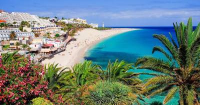 Canary Islands look to scrap need for Brits to take Covid-19 PCR tests for holidays - mirror.co.uk - Spain