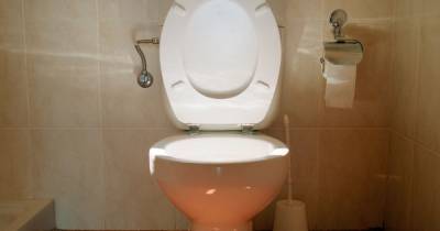 Brits 'should leave toilet seat up' to reduce spread of coronavirus, expert claims - mirror.co.uk
