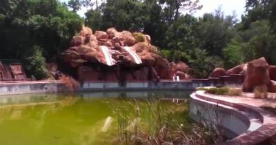 Inside creepy abandoned Disneyland attractions left to decay for decades - dailystar.co.uk - Usa - state Florida