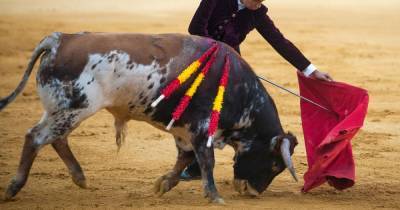 Bullfighting returns to Spain with strict new rules for the sport - mirror.co.uk - Spain
