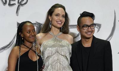 Angelina Jolie - Brad Pitt - Angelina Jolie welcomes two new additions to her family and also reveals how everyone is doing during quarantine - us.hola.com - Britain - county Angelina