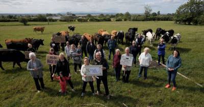 Campaigners oppose plans for 200 new homes in Gretna - dailyrecord.co.uk