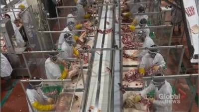 Coronavirus: How the pandemic has changed the future of meat processing plants - globalnews.ca