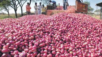 Nafed procures 25,000 tonnes of onion so far to create buffer stock - livemint.com - city New Delhi - India