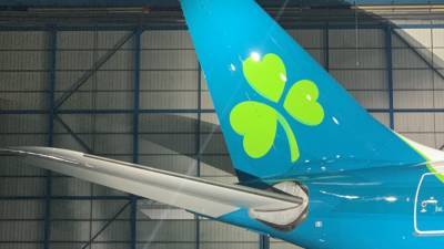 Aer Lingus - SIPTU says Aer Lingus proposals are 'best outcome' in current circumstances - rte.ie