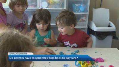 Lior Samfiru - Childcare rights for parents as Ontario reopens - globalnews.ca