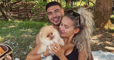 Olivia Attwood - Tommy Fury - Mae Hague - Inside cruel world of Russian puppy shipping after Molly Mae and Tommy's dog dies - mirror.co.uk - Britain - Russia - city Hague