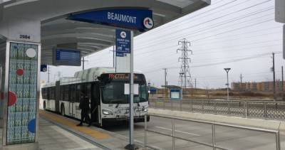 Public Health - Coronavirus: Winnipeg Transit Union calls for return to full service - globalnews.ca