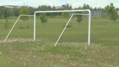 Sarah Komadina - Edmonton Minor Soccer Association plans for the field - globalnews.ca