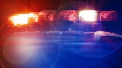 5 juveniles arrested after burglary in Tittusville, police say - clickorlando.com