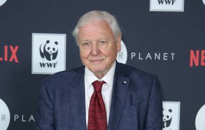 David Attenborough - ‘A Perfect Planet’: David Attenborough finishing new nature show from lockdown - nme.com