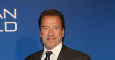 Arnold Schwarzenegger - Gym responds to Schwarzenegger's decision to leave over mask policy - wonderwall.com